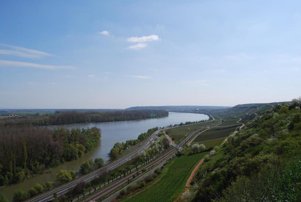 Landhotel St. Gereon Nackenheim Екстериор снимка